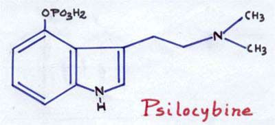 Figure 2 - Formule chimique de la Psilicybine