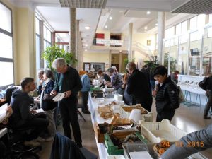 Salon 2015 - Tri et détermination des champignons